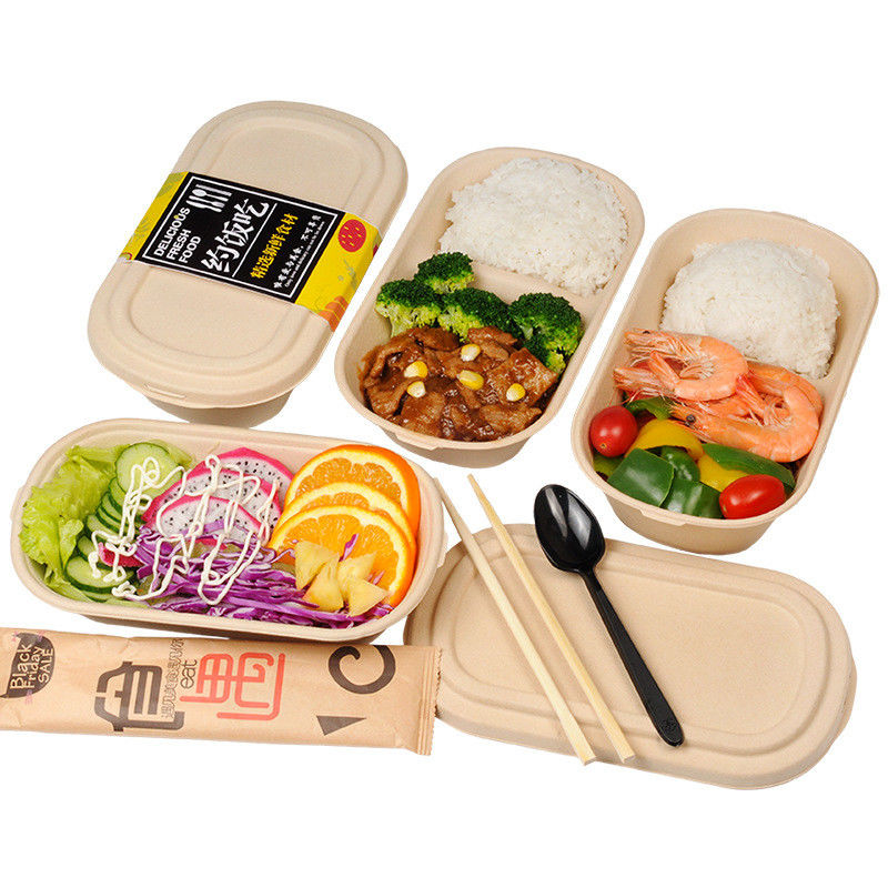 100% Compostable Food Container